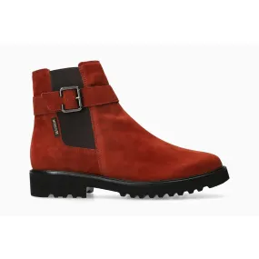 Bottines SIENA marron