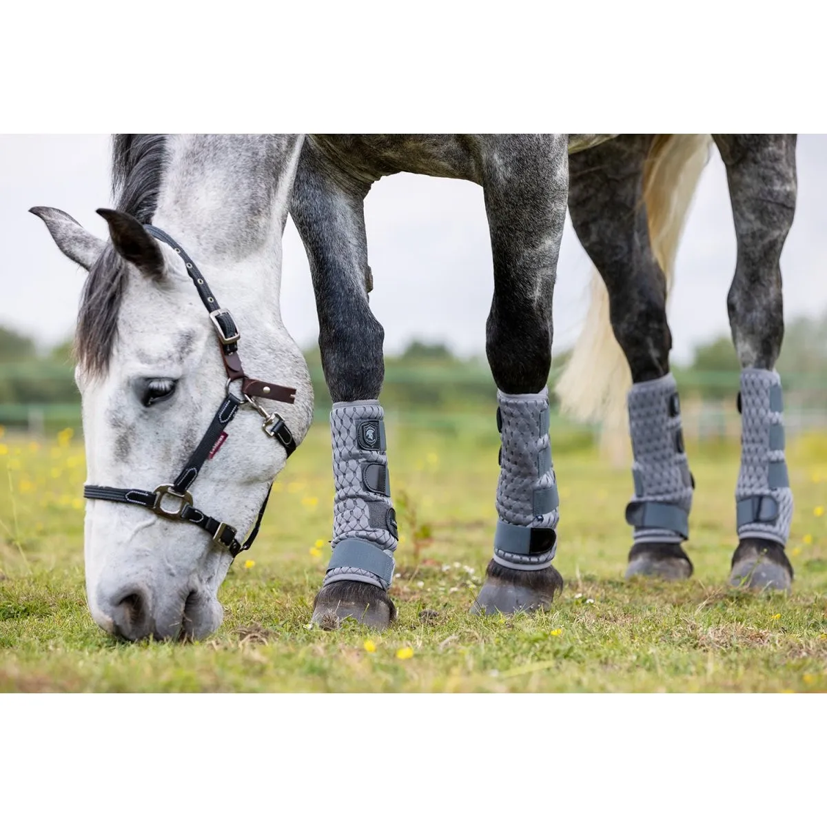 Guêtres Anti-Mouches LeMieux Gladiator Mesh - Protection pour Chevaux