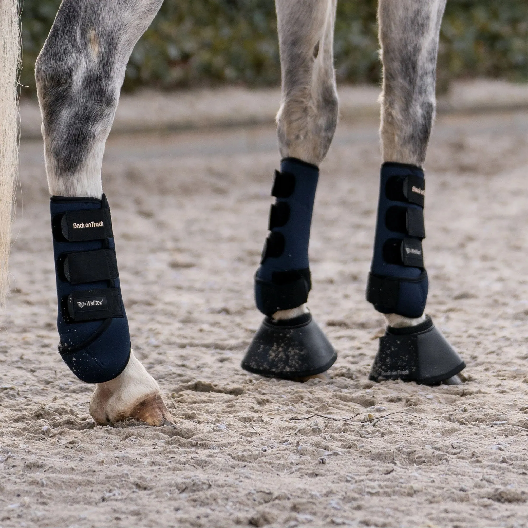 Guêtres antérieures Back on Track pour Cheval, Poney ou Shetland