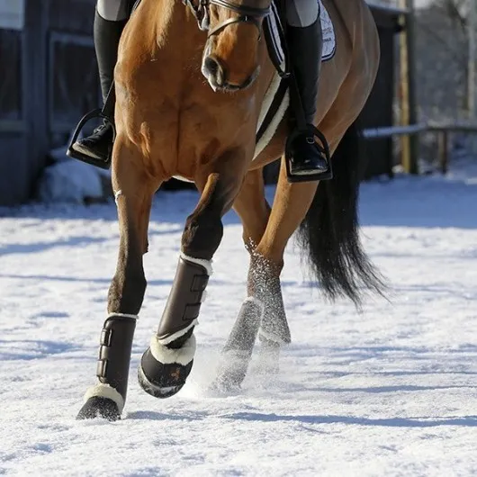 Guêtres antérieures cheval synthétique - Kentucky Horsewear - KENTUCKY HORSEWEAR - Guêtres antérieures - Equestra