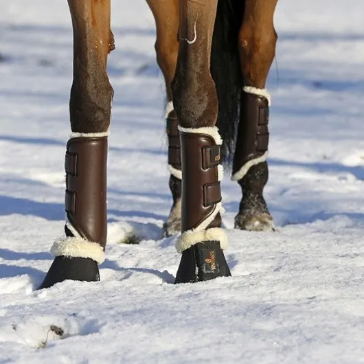 Guêtres antérieures cheval synthétique - Kentucky Horsewear - KENTUCKY HORSEWEAR - Guêtres antérieures - Equestra