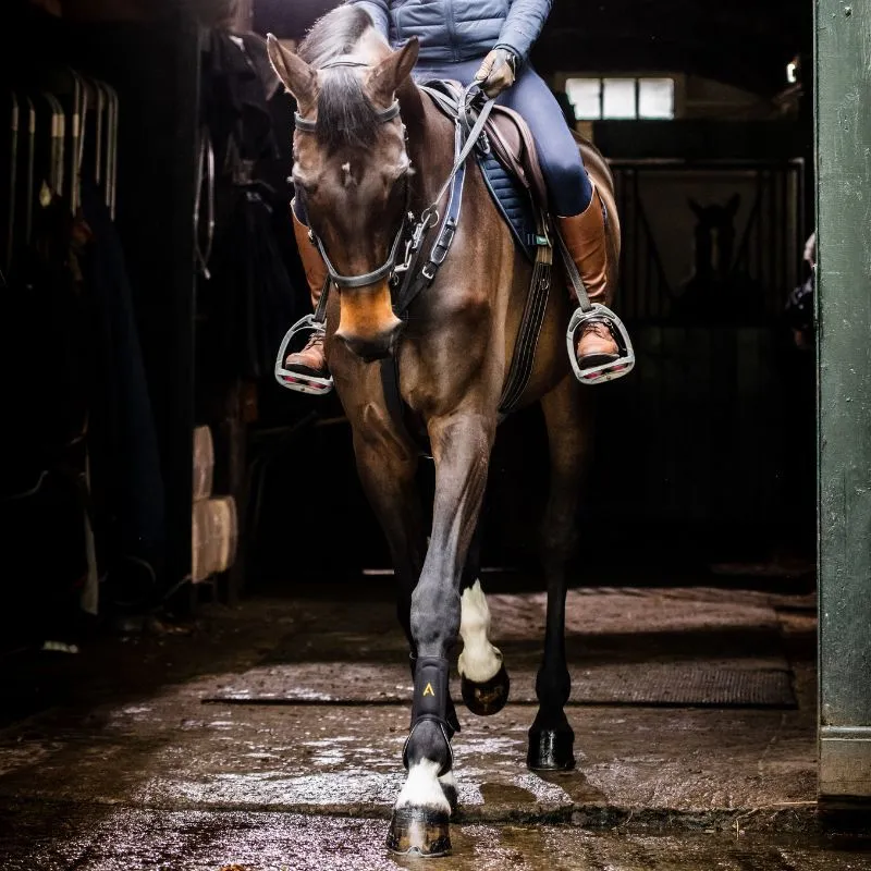 Guêtres cheval Adagio - Horseware - HORSEWARE - Guêtres antérieures - Equestra