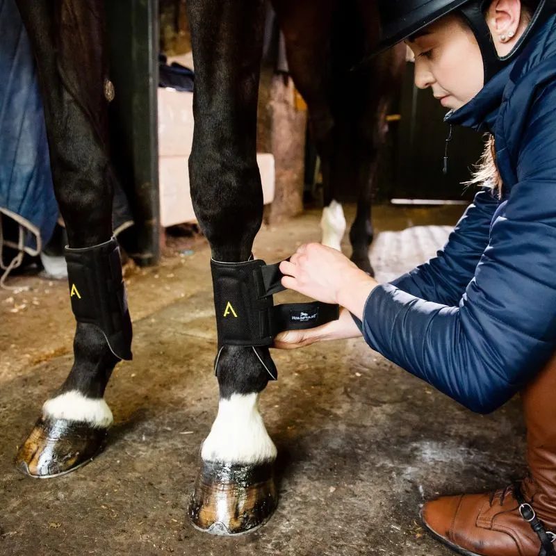 Guêtres cheval Adagio - Horseware - HORSEWARE - Guêtres antérieures - Equestra