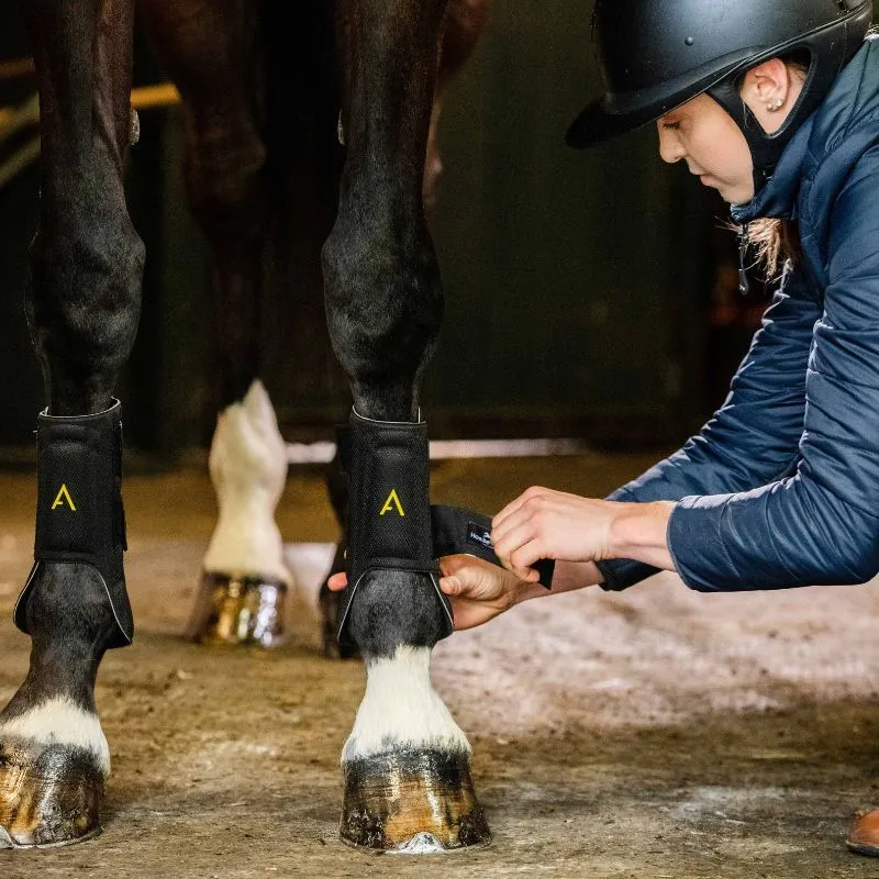 Guêtres cheval Adagio - Horseware - HORSEWARE - Guêtres antérieures - Equestra