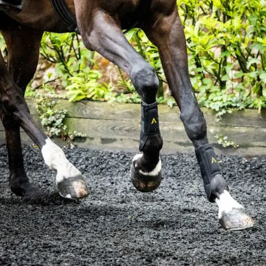 Guêtres cheval Adagio - Horseware - HORSEWARE - Guêtres antérieures - Equestra