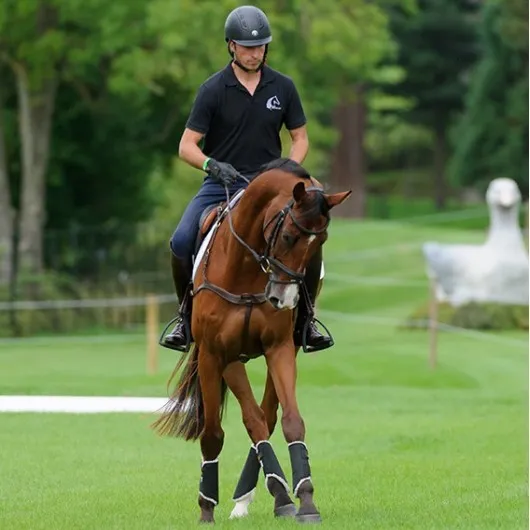 Guêtres cheval postérieures mouton Solimbra - Kentucky Horsewear - KENTUCKY HORSEWEAR - Guêtres postérieures - Equestra