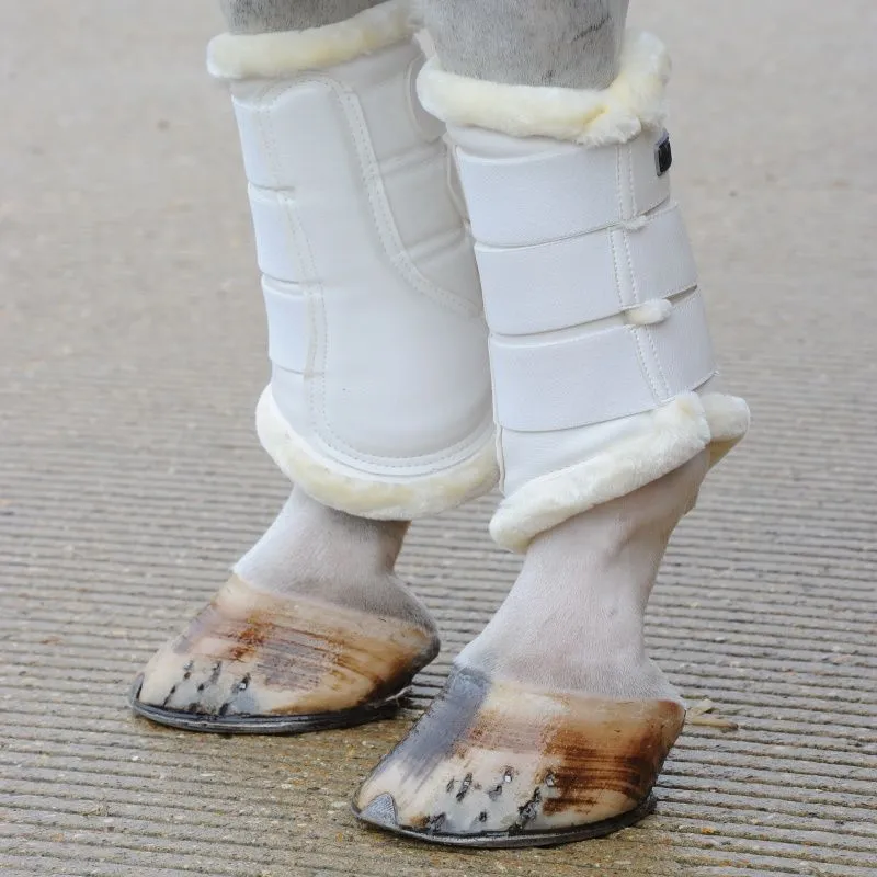 Guêtres de dressage cheval en mouton - Bucas - BUCAS - Guêtres antérieures - Equestra