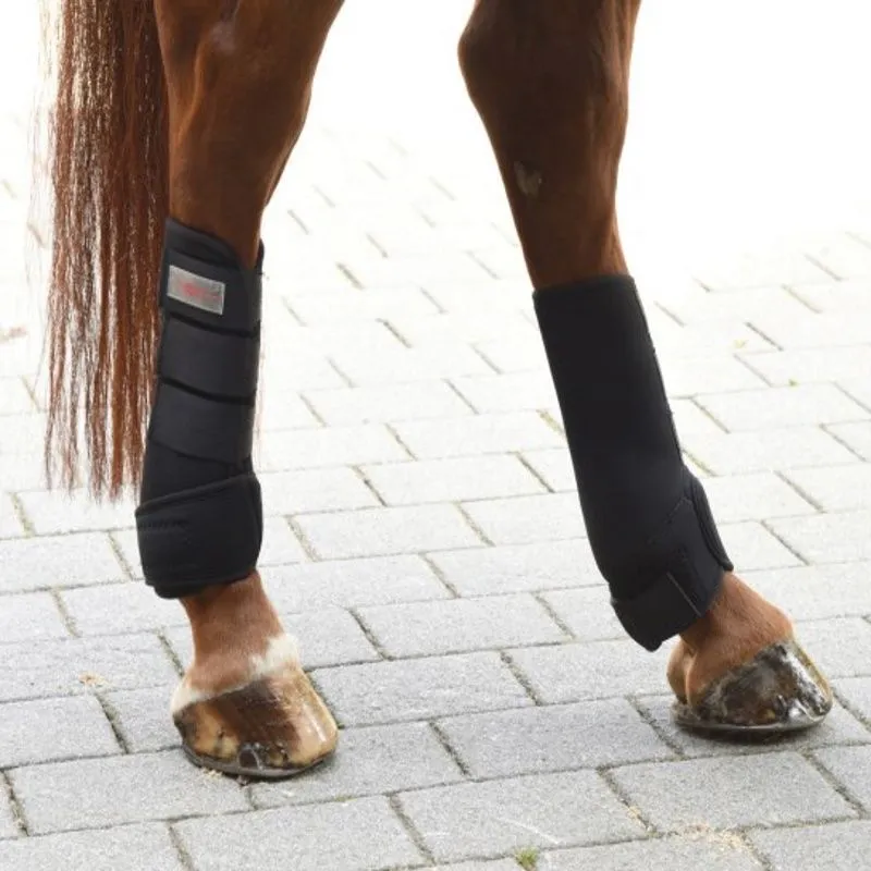 Guêtres de dressage cheval - Equestra