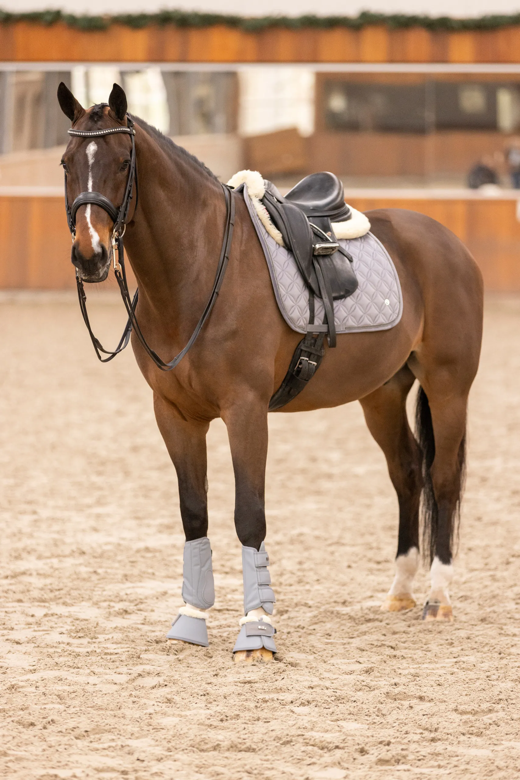 Guêtres de dressage HV Polo Femke - Confort et Style