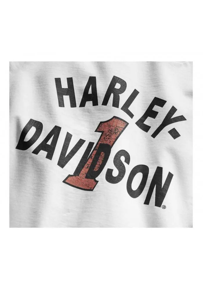 Harley-Davidson Hommes Cracked Print Slim Fit manches courtes Tee Shirt White 96790-19VM