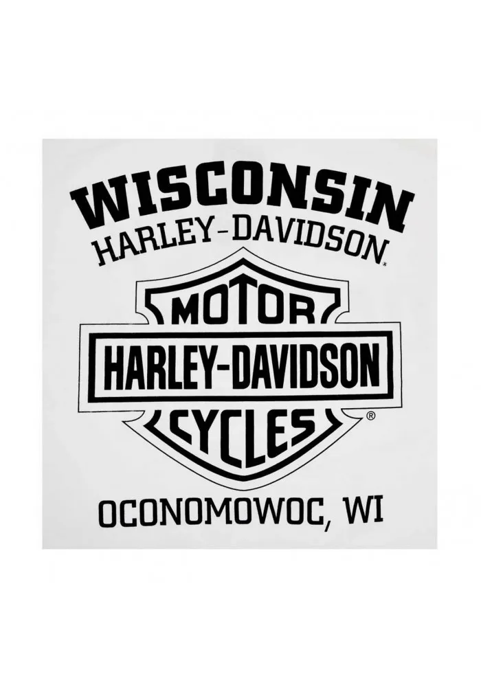 Harley-Davidson Hommes T-Shirt Heritage Distressed manches courtes White 30294029