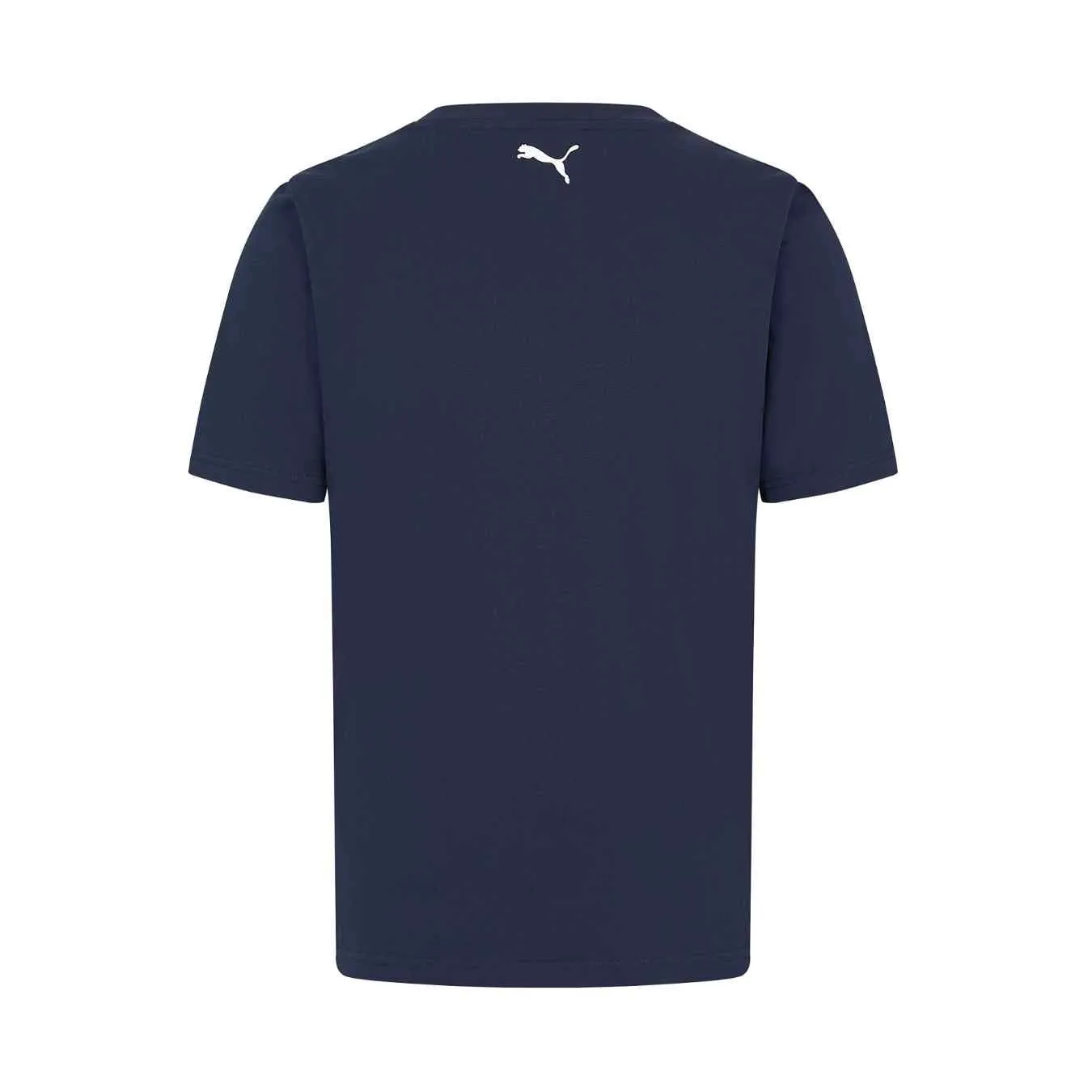 T-shirt WILLIAMS F1 Logo Homme Bleu WLM24_TSH_LOG